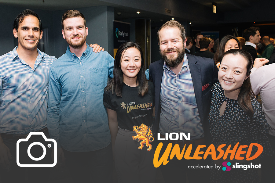 Lion Unleashed Accelerator