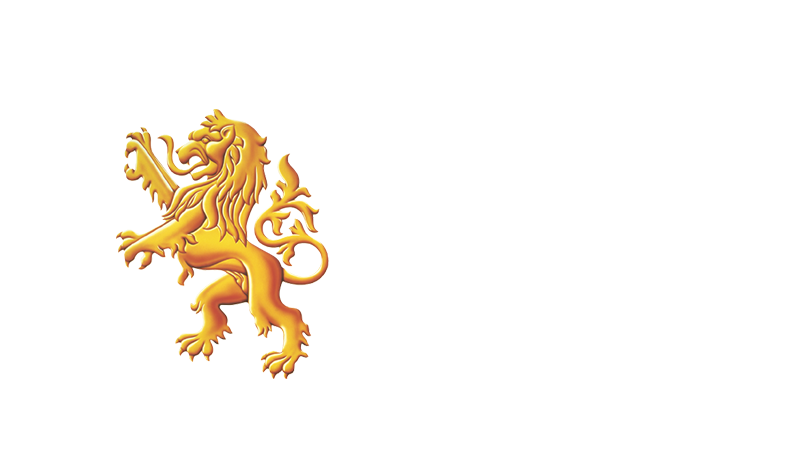 14LION